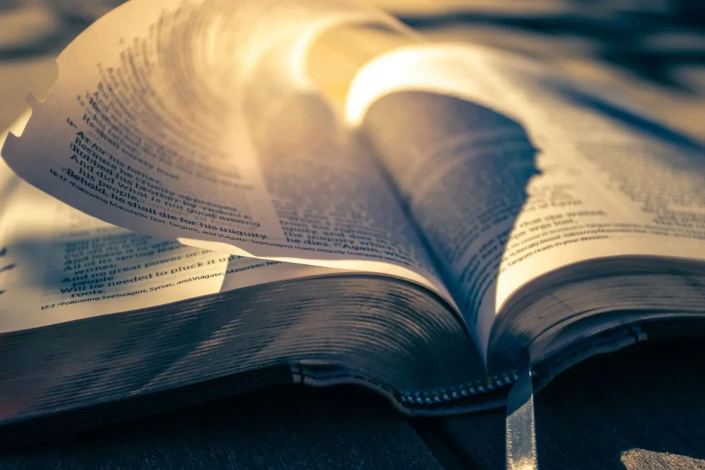 Theological significance of 2 Timothy 2:15