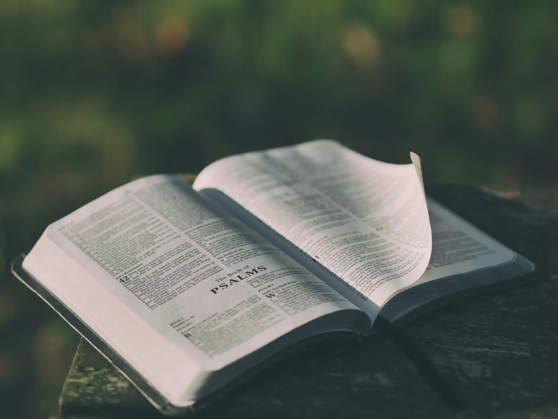The Bible - God's Holy Word - is it reliable?
