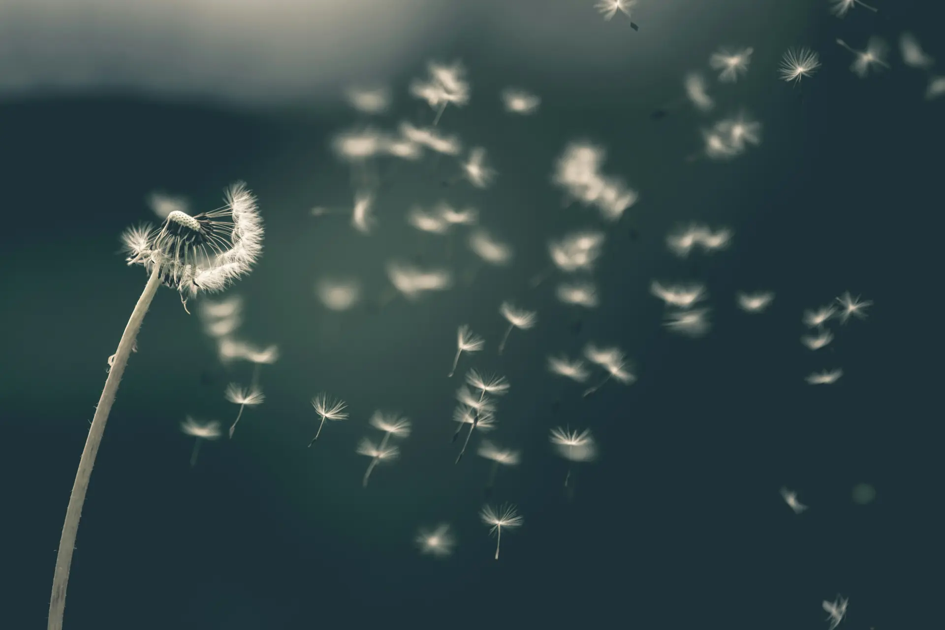 You Might Be Reading James All Wrong; and It Might be Costing You Your Peace