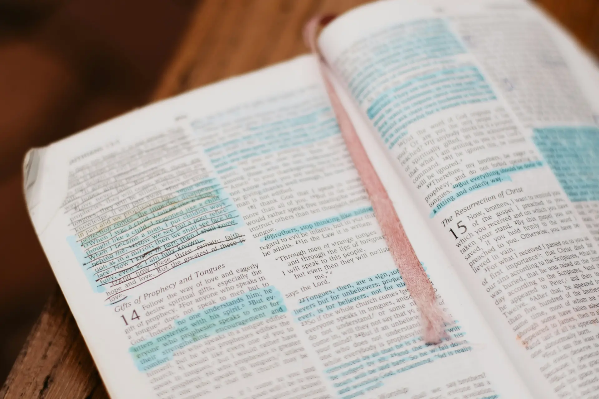 God's Word is inerrant and holy