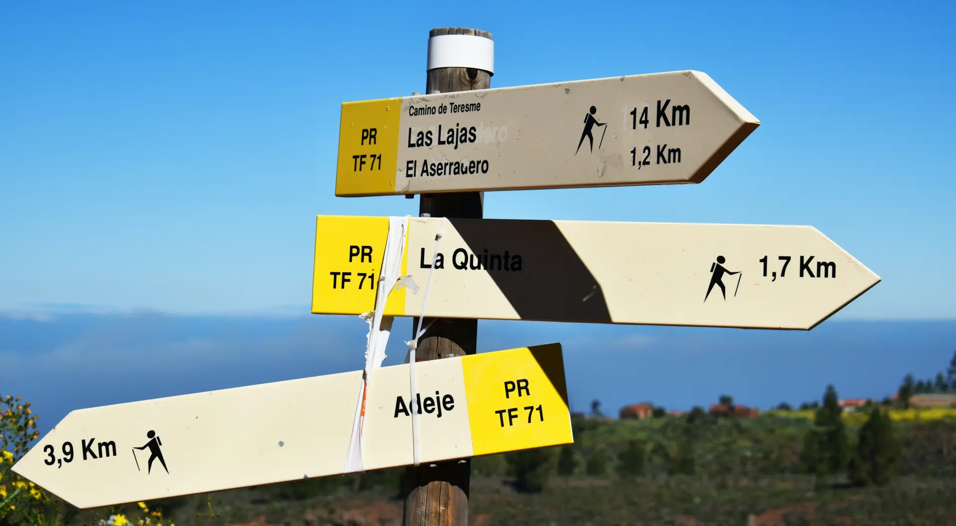 How Can I Know the Will of God?